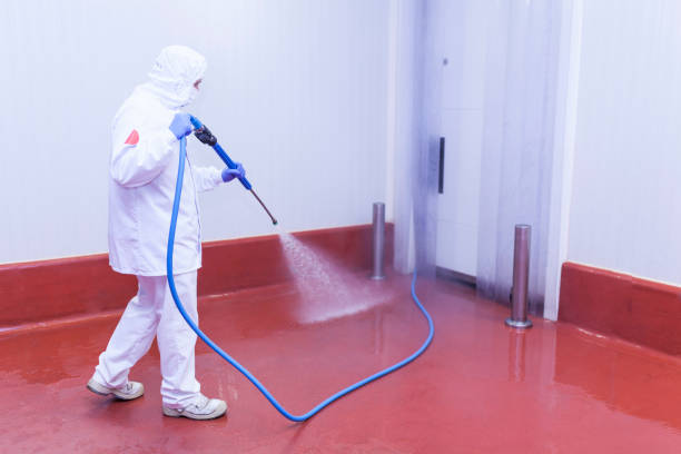 Best Graffiti Removal  in Camden, OH