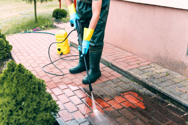 Professional  Pressure Washing Services in Camden, OH