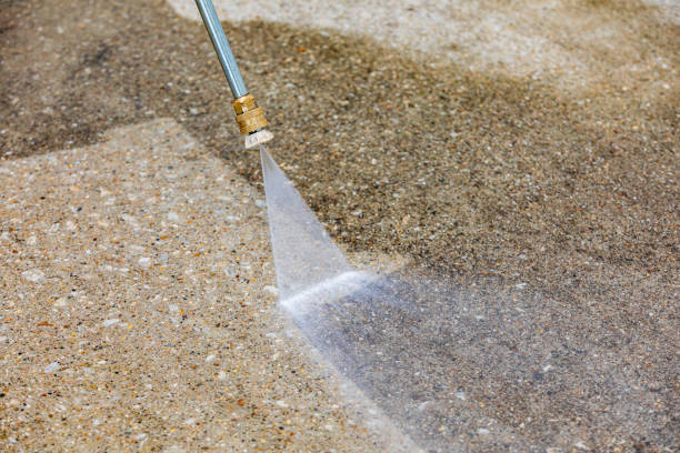 Best Roof Washing  in Camden, OH